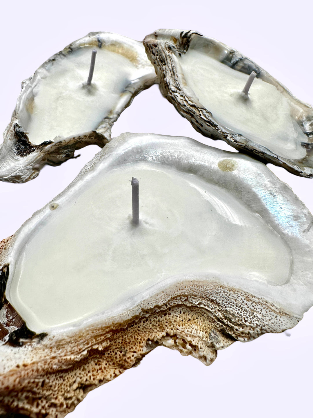 Scented Novelty Oyster Shell Candle Handmade Beeswax Soy