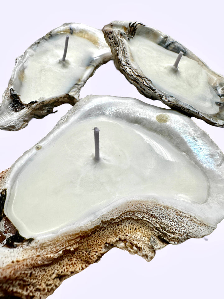Scented Novelty Oyster Shell Candle Handmade Beeswax Soy