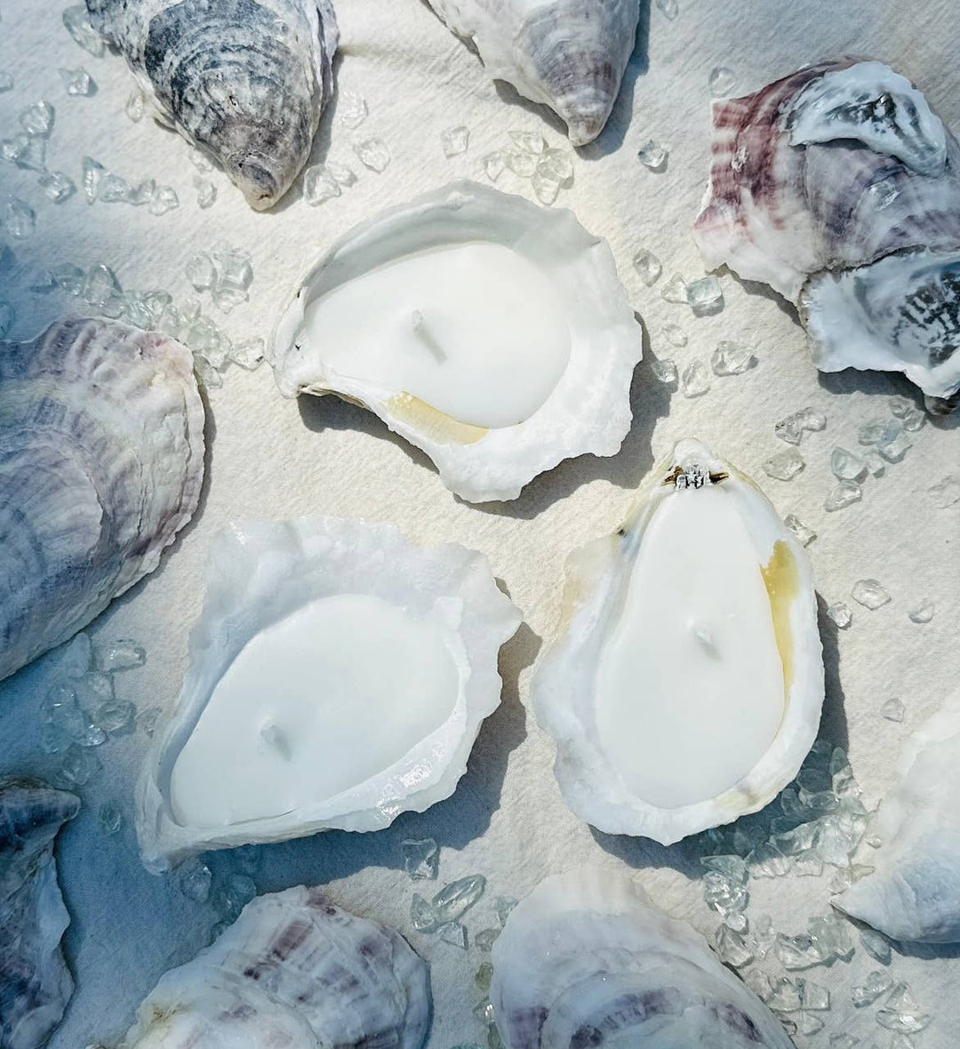 Scented Novelty Oyster Shell Candle Handmade Beeswax Soy