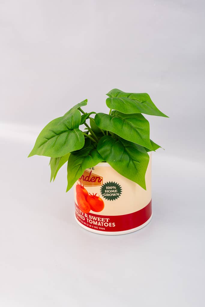 Tomato Can Ceramic Vase